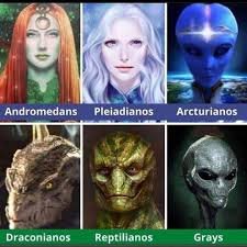 pictures-of-andromedans-pleidians-arcturians-draconians-reptilians-greys