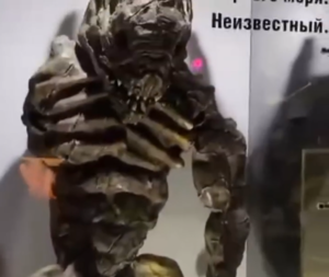 Russia museum reptilian picture - An exhibit on display in a private museum in Russia shows the skeleton of an unknown creature people are speculating is a reptilian draco
