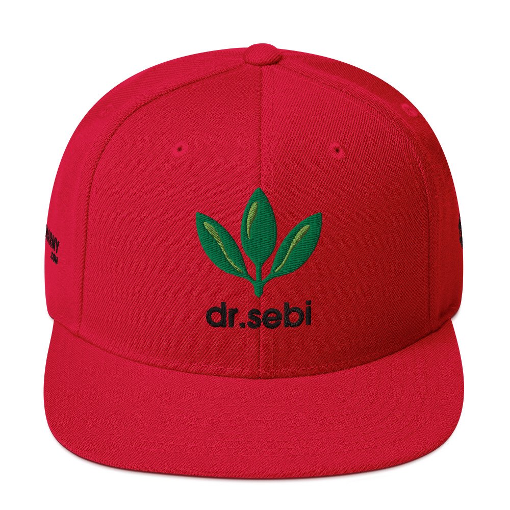 Dr. Sebi Snapback Cap – Inspirational Unisex Hat | Herbalist Clothes (Black Text) - Image 9