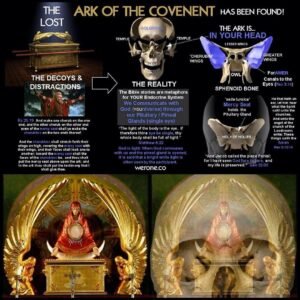 the-ark-of-the-covenant-reveals-the-human-brain-the-bible