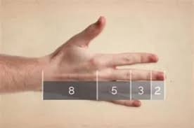 golden-ratio-in-human-hand-fingers