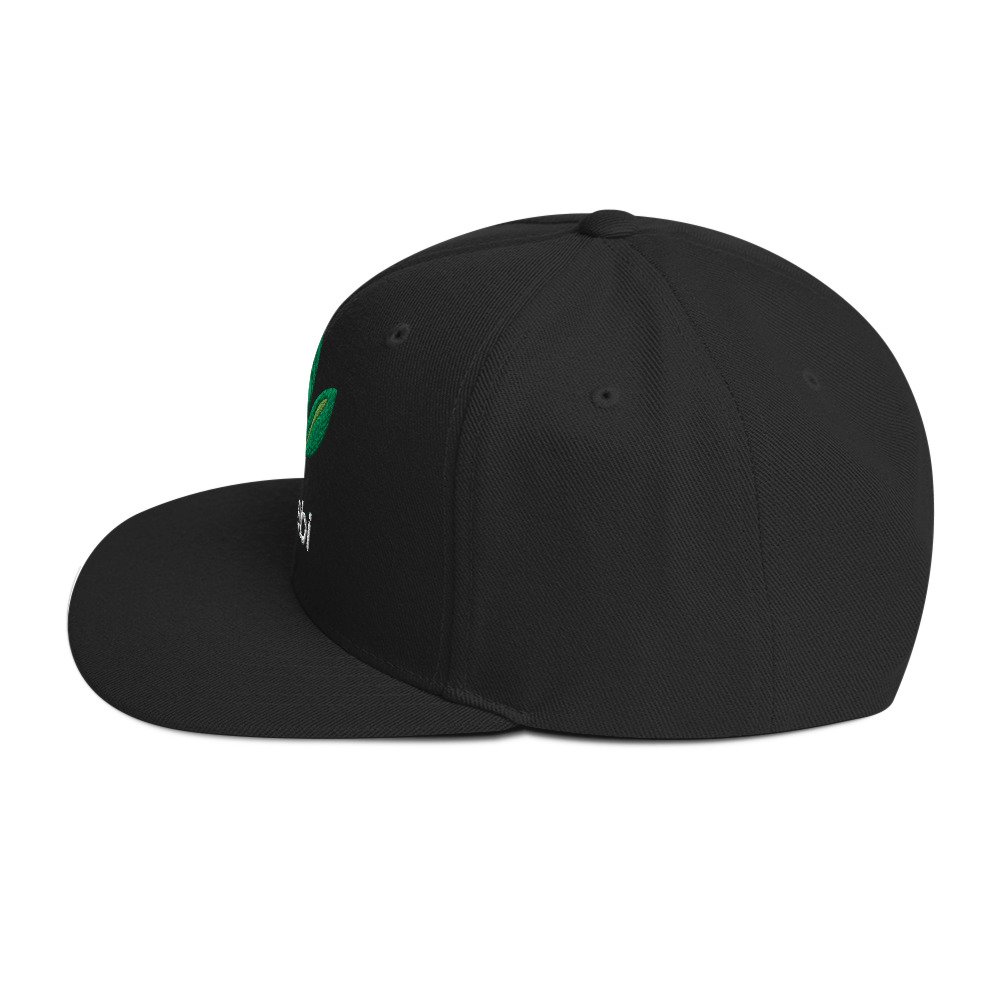 Dr. Sebi Snapback Cap – Inspirational Unisex Hat | Herbalist Clothes (White Text) - Image 3