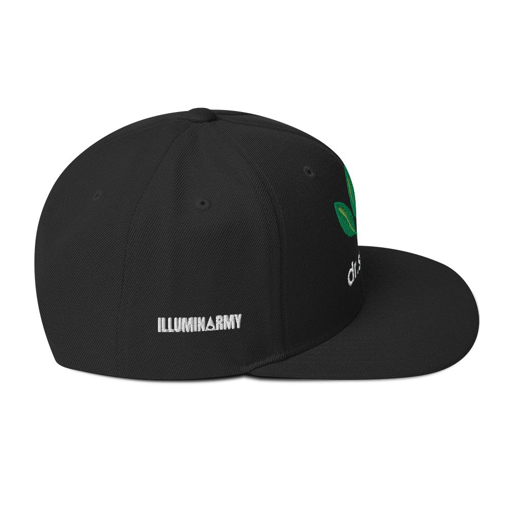 Dr. Sebi Snapback Cap – Inspirational Unisex Hat | Herbalist Clothes (White Text) - Image 4
