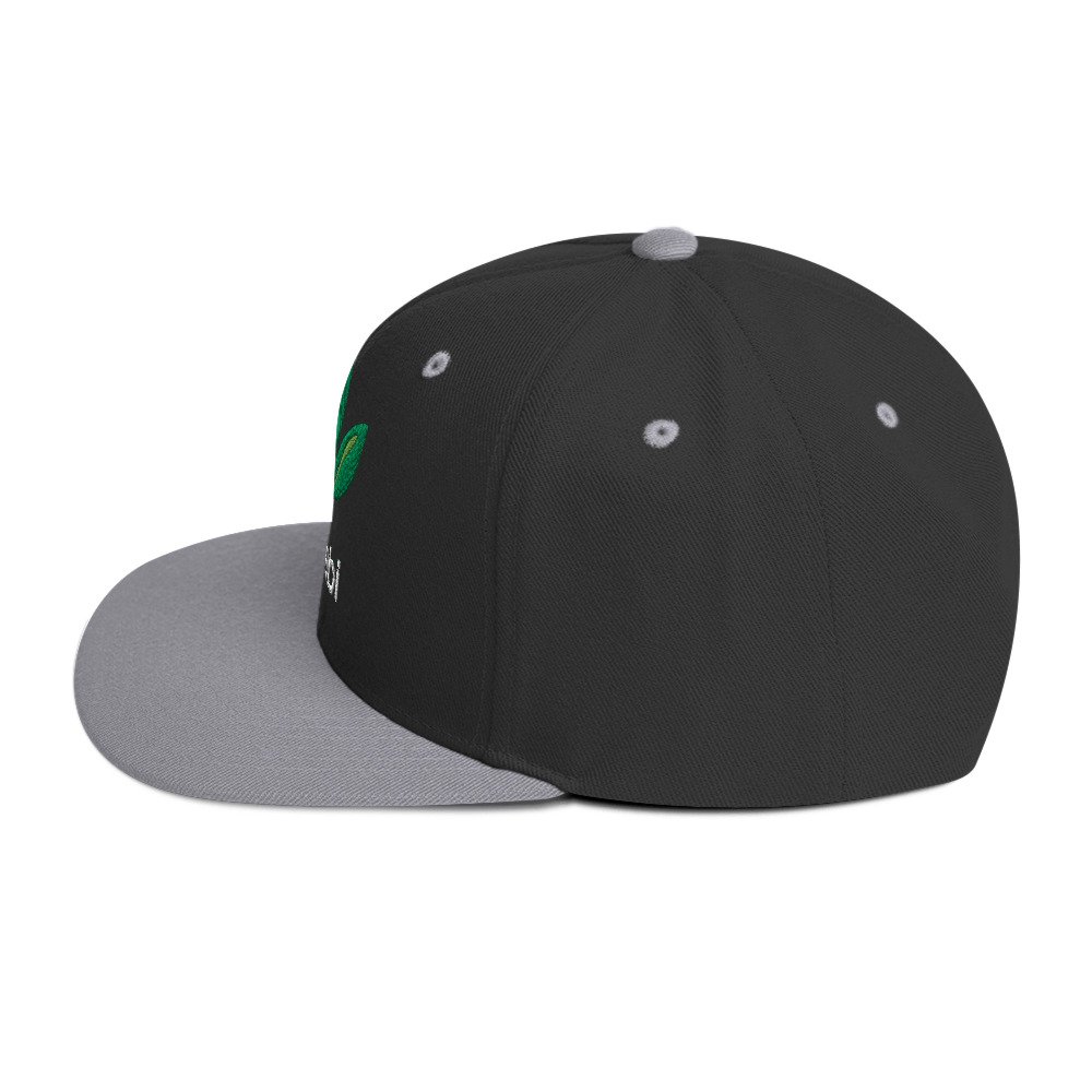 Dr. Sebi Snapback Cap – Inspirational Unisex Hat | Herbalist Clothes (White Text) - Image 27