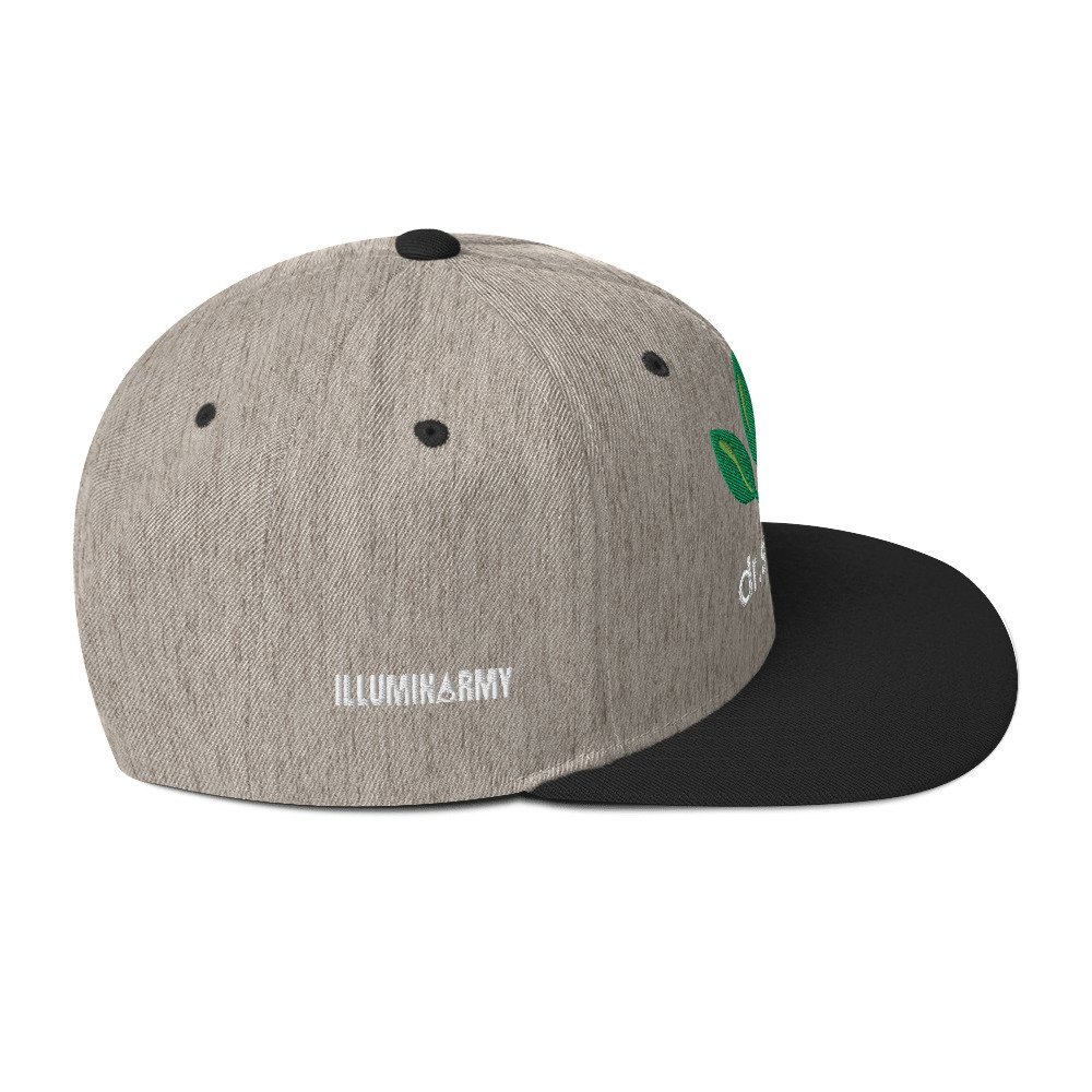 Dr. Sebi Snapback Cap – Inspirational Unisex Hat | Herbalist Clothes (White Text) - Image 60