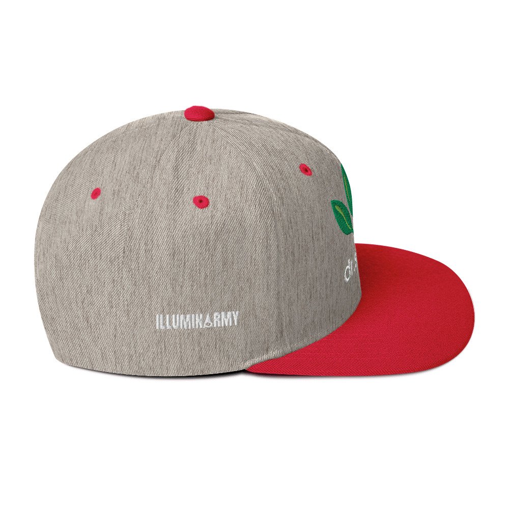 Dr. Sebi Snapback Cap – Inspirational Unisex Hat | Herbalist Clothes (White Text) - Image 68