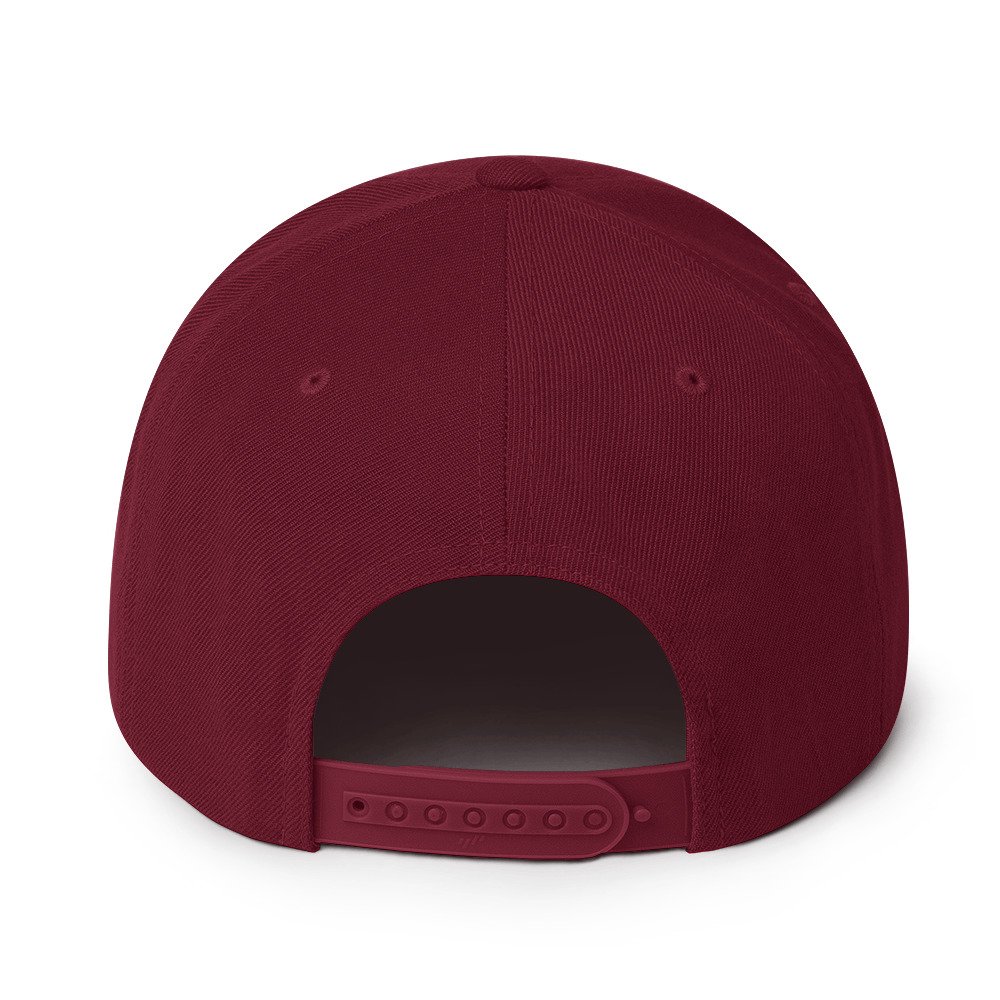 David Icke Snapback Cap – Inspirational Hat Unisex | Mind Expanding Activist Clothes (White Text) - Image 46