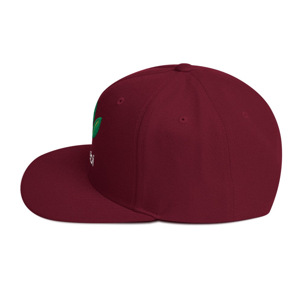 Dr. Sebi Snapback Cap – Inspirational Unisex Hat | Herbalist Clothes (White Text) - Image 47