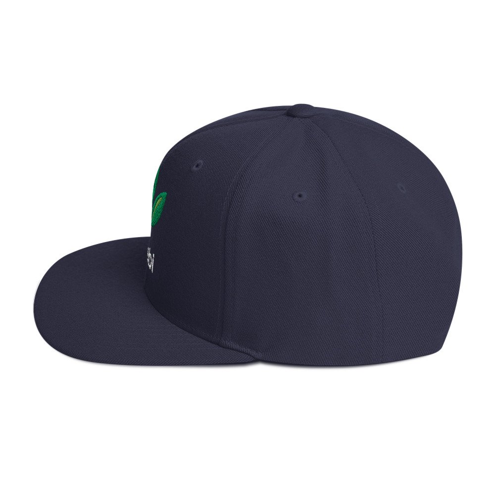 Dr. Sebi Snapback Cap – Inspirational Unisex Hat | Herbalist Clothes (White Text) - Image 39