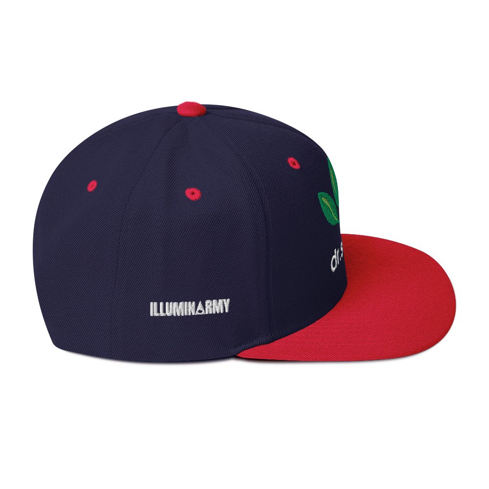 Dr. Sebi Snapback Cap – Inspirational Unisex Hat | Herbalist Clothes (White Text) - Image 16