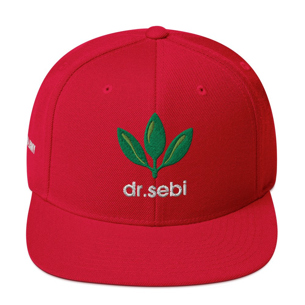 Dr. Sebi Snapback Cap – Inspirational Unisex Hat | Herbalist Clothes (White Text) - Image 29
