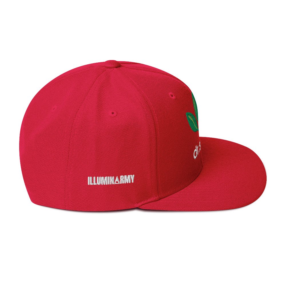 Dr. Sebi Snapback Cap – Inspirational Unisex Hat | Herbalist Clothes (White Text) - Image 32
