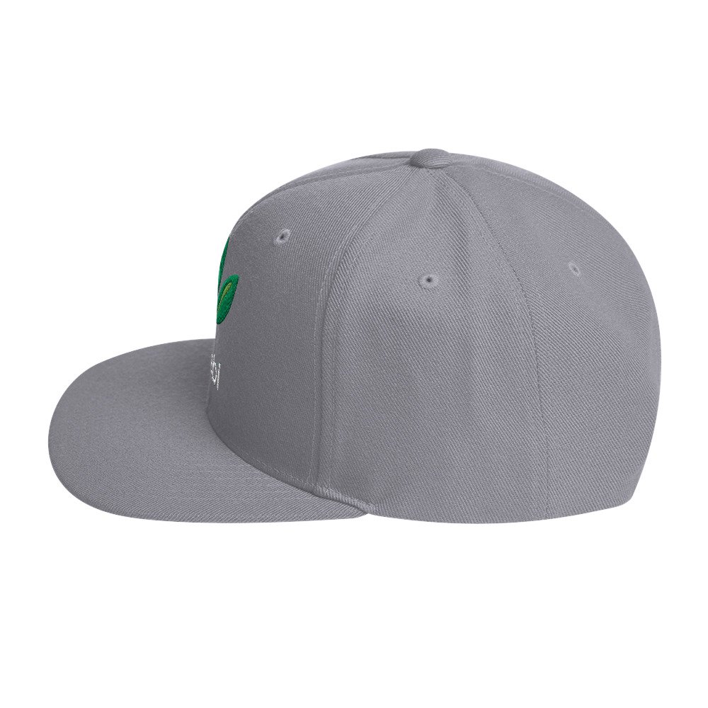 Dr. Sebi Snapback Cap – Inspirational Unisex Hat | Herbalist Clothes (White Text) - Image 55