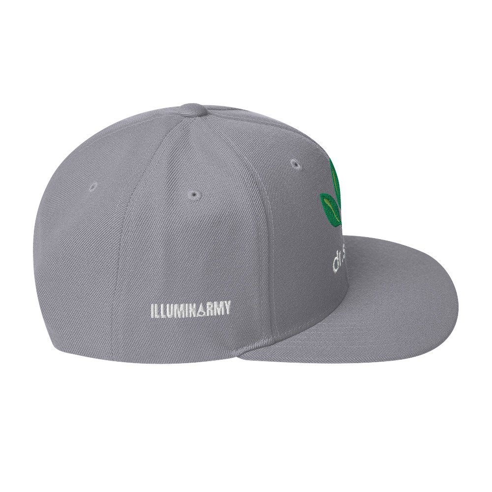 Dr. Sebi Snapback Cap – Inspirational Unisex Hat | Herbalist Clothes (White Text) - Image 56