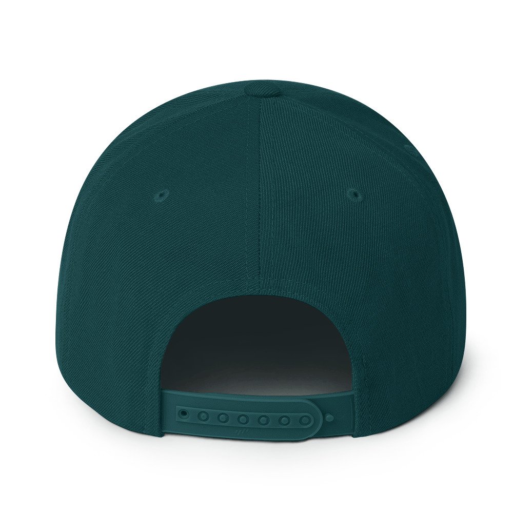 David Icke Snapback Cap – Inspirational Hat Unisex | Mind Expanding Activist Clothes (White Text) - Image 42